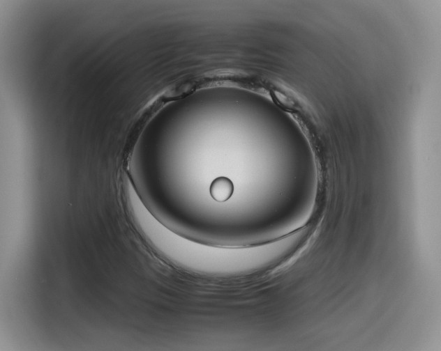 X0000115561305200911061545