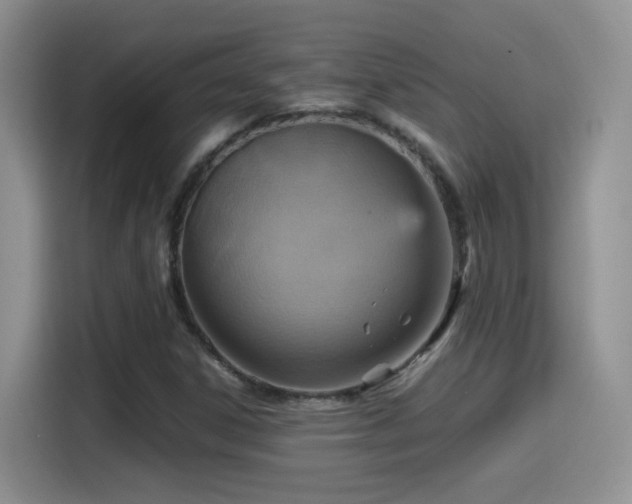 X0000115561306200911061545