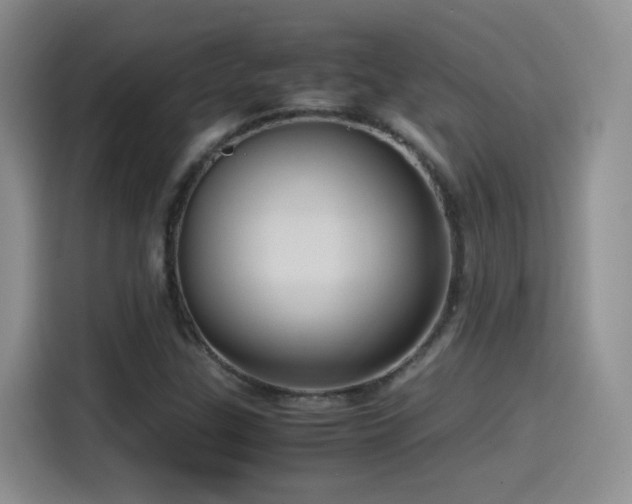 X0000115561307200911061545
