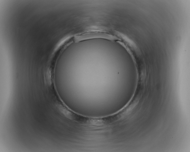 X0000115561310200911061545