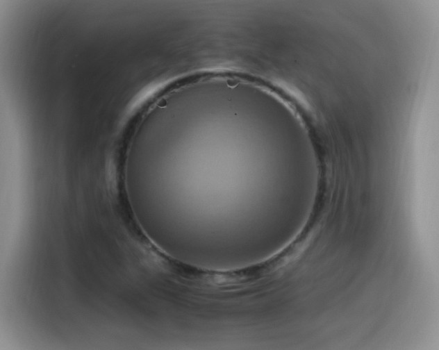 X0000115561311200911061545