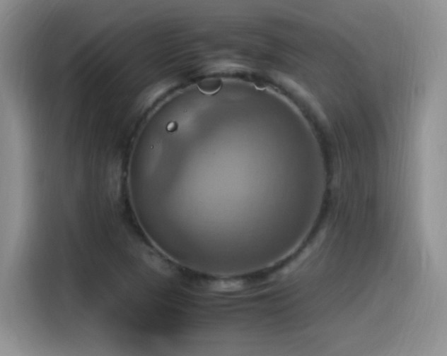 X0000115561313200911061545