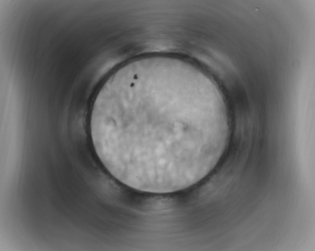 X0000115561314200911061545
