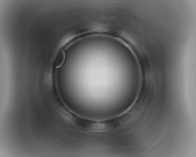 X0000115561315200911061545