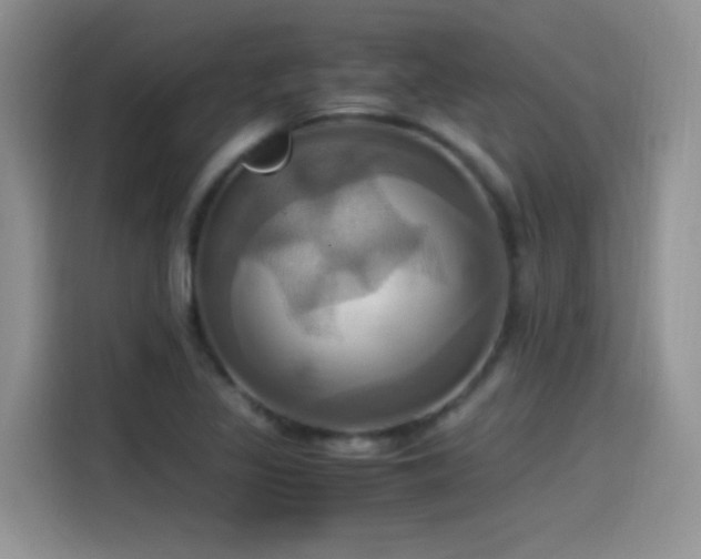 X0000115561317200911061545