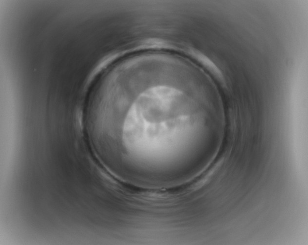 X0000115561318200911061545
