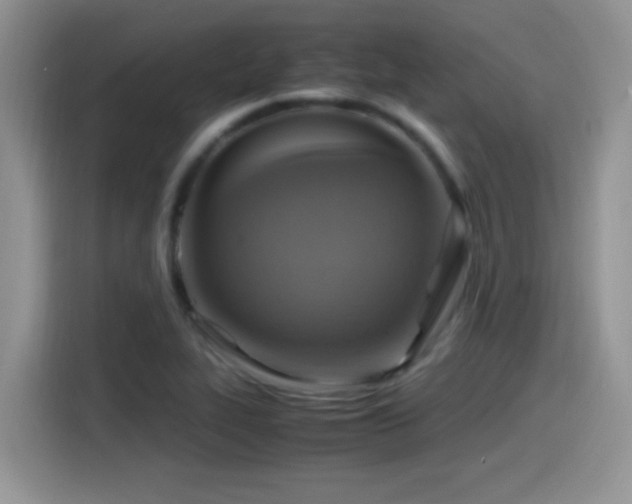 X0000115561319200911061545