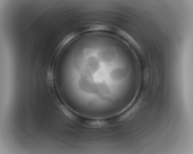 X0000115561321200911061545
