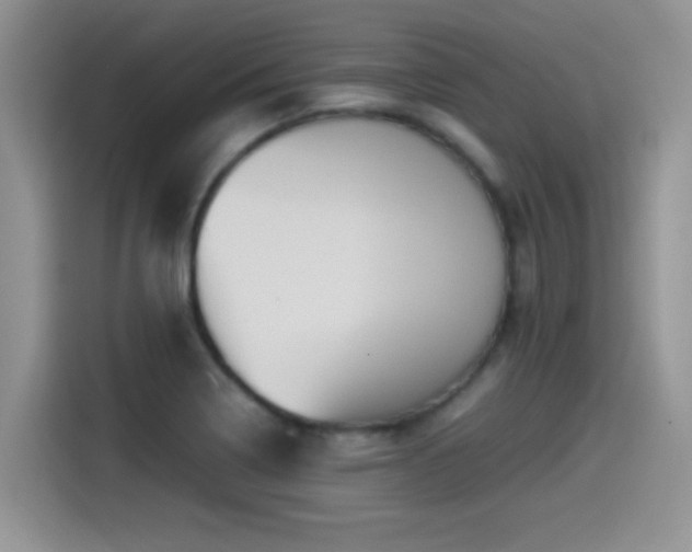 X0000115561322200911061545