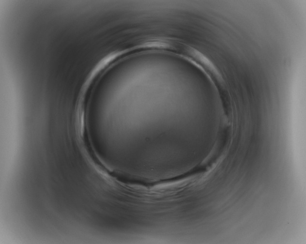 X0000115561323200911061545