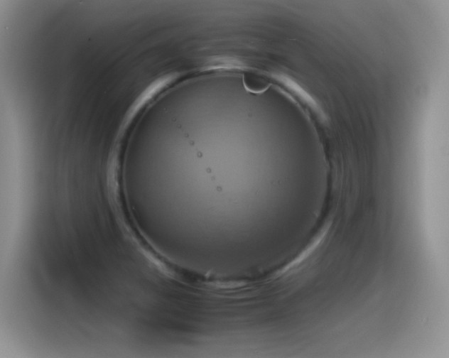 X0000115561325200911061545