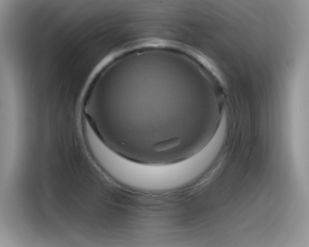X0000115561326200911061545