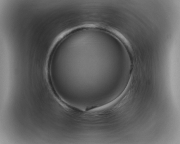 X0000115561327200911061545