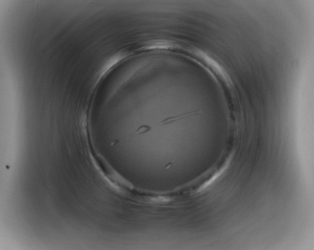 X0000115561329200911061545