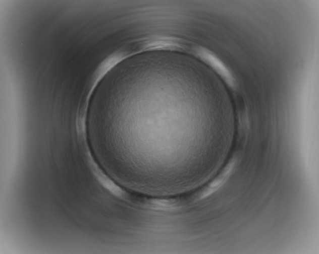 X0000115561330200911061545