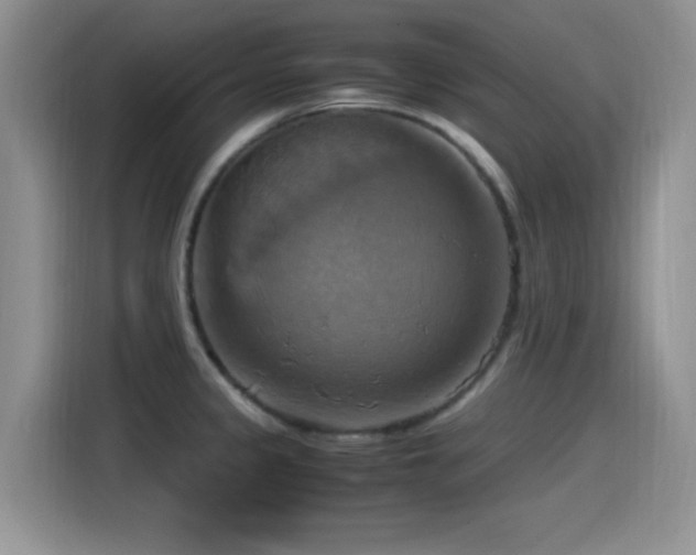 X0000115561333200911061545