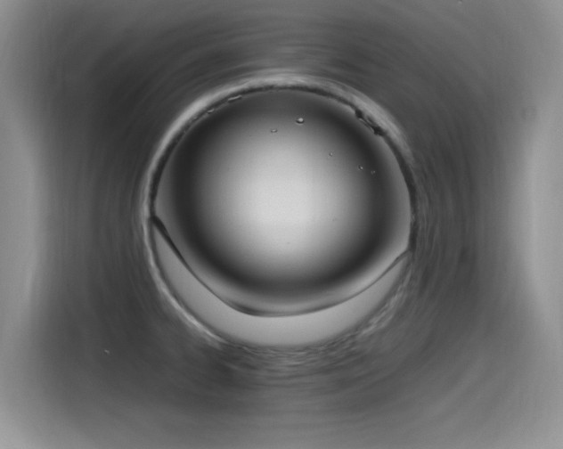 X0000115561334200911061545