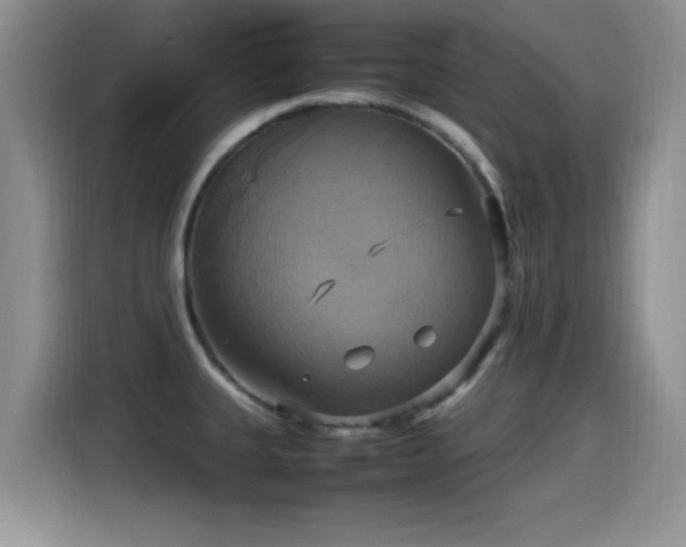 X0000115561335200911061545