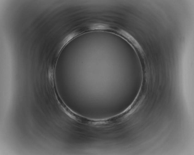 X0000115561337200911061545