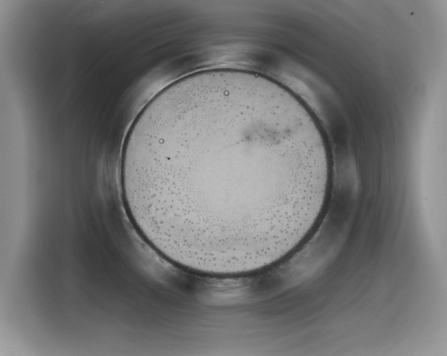 X0000115561338200911061545