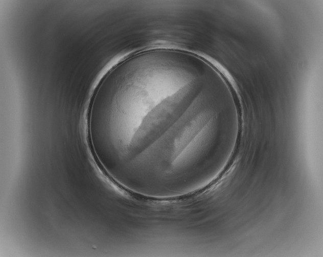 X0000115561341200911061545
