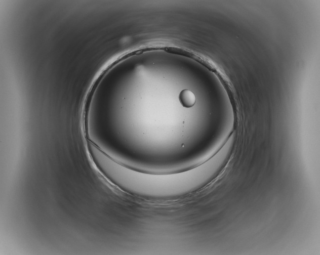 X0000115561342200911061545