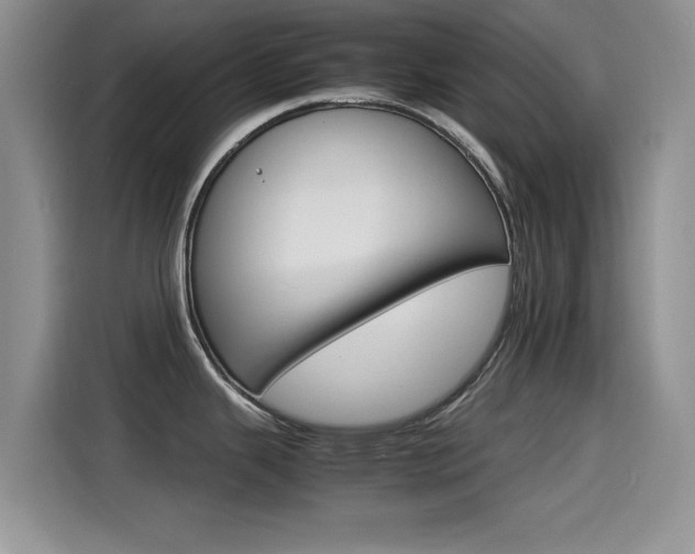 X0000115561343200911061545