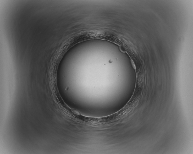 X0000115561345200911061545