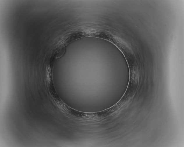 X0000115561346200911061545