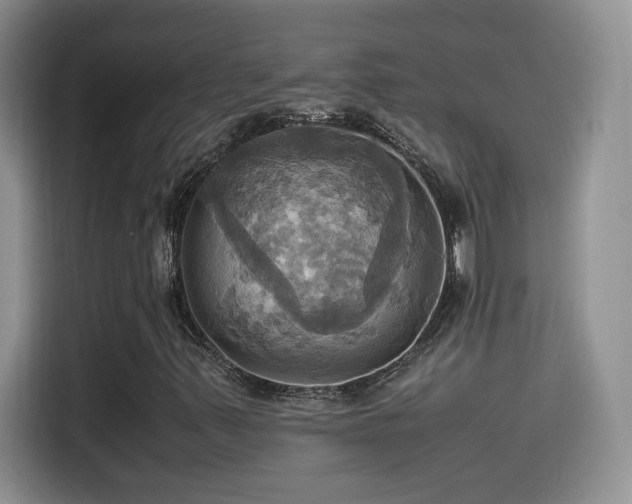 X0000115561347200911061545