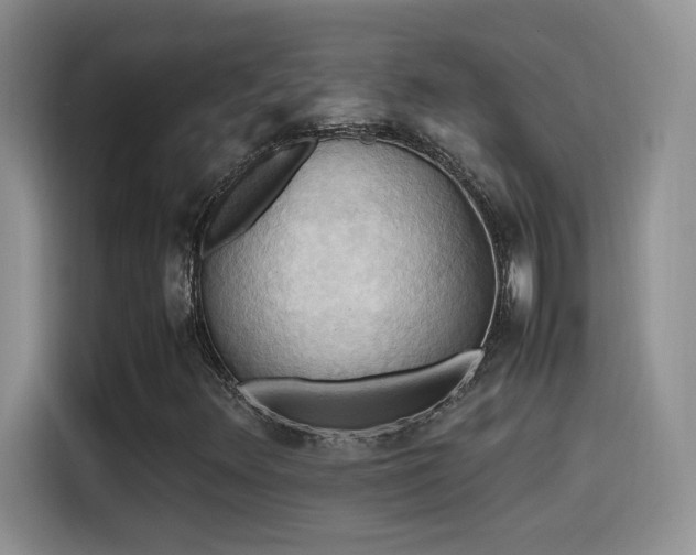 X0000115561348200911061545