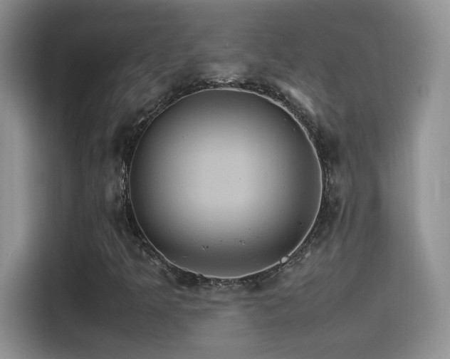 X0000115561349200911061545