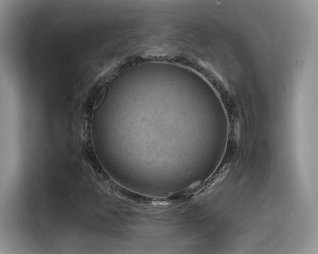 X0000115561350200911061545