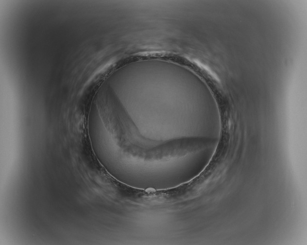 X0000115561351200911061545
