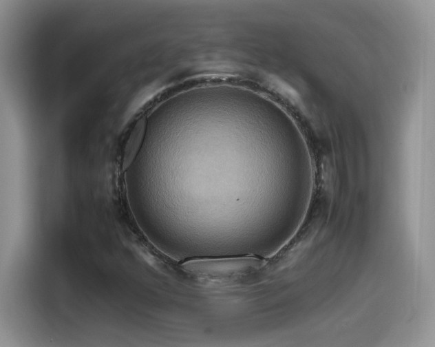 X0000115561352200911061545