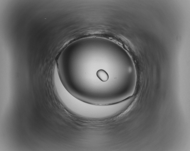 X0000115561353200911061545