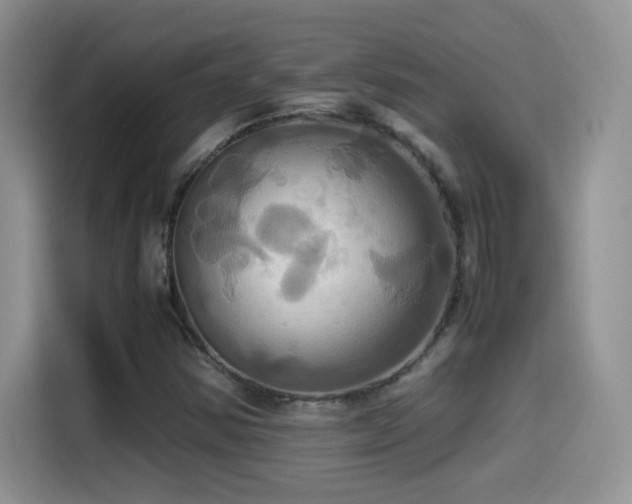 X0000115561354200911061545
