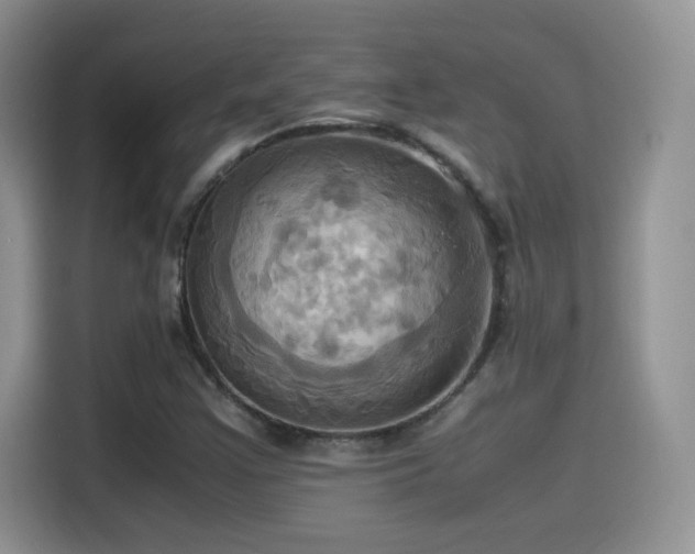 X0000115561355200911061545