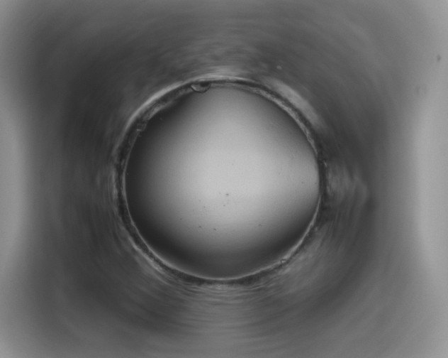 X0000115561356200911061545