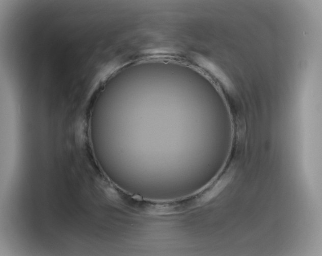 X0000115561357200911061545