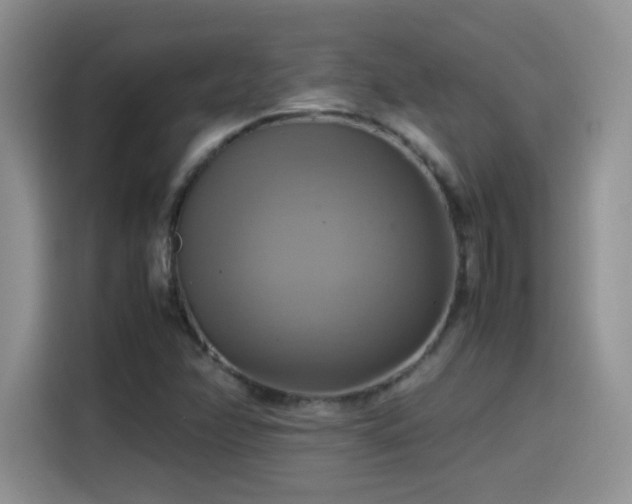 X0000115561358200911061545