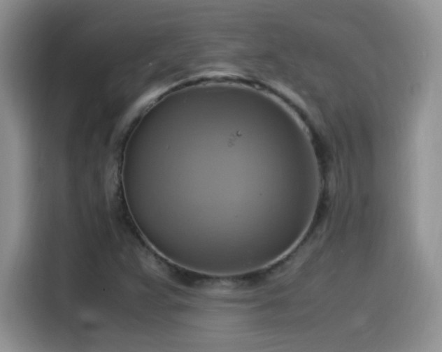 X0000115561359200911061545