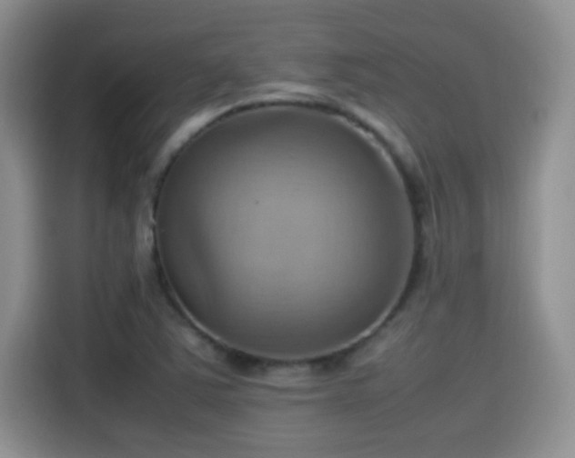 X0000115561363200911061545