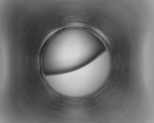 X0000115561364200911061545