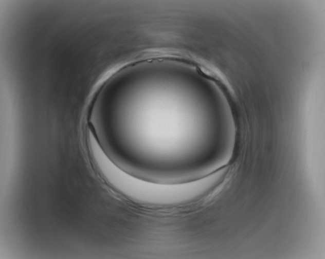 X0000115561365200911061545