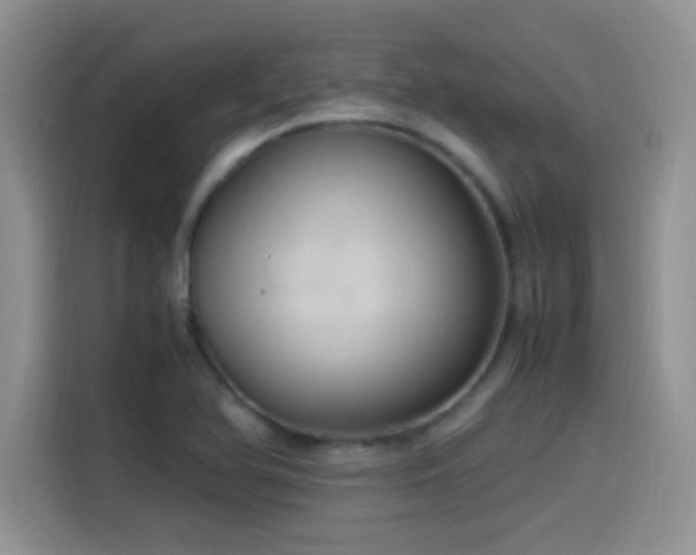 X0000115561366200911061545