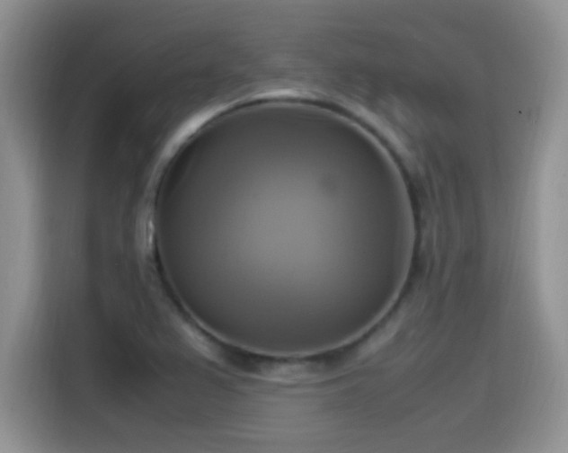 X0000115561367200911061545