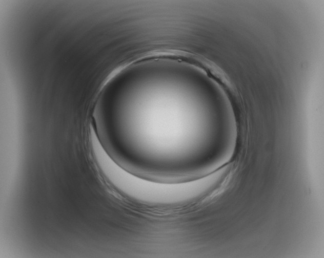 X0000115561369200911061544
