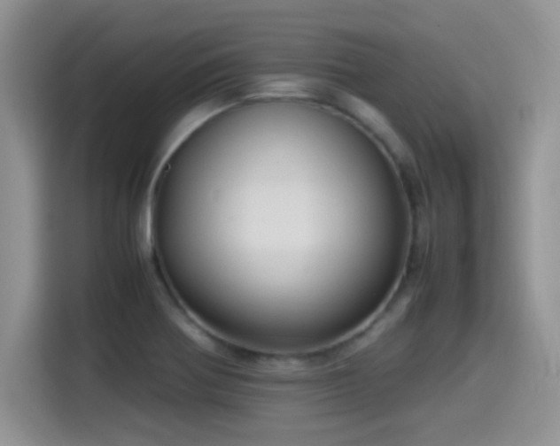 X0000115561370200911061544