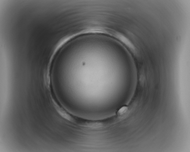 X0000115561372200911061544